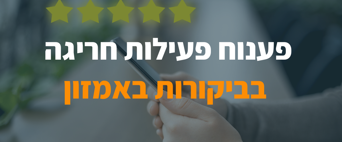 פענוח פעילות חריגה בביקורות באמזון
